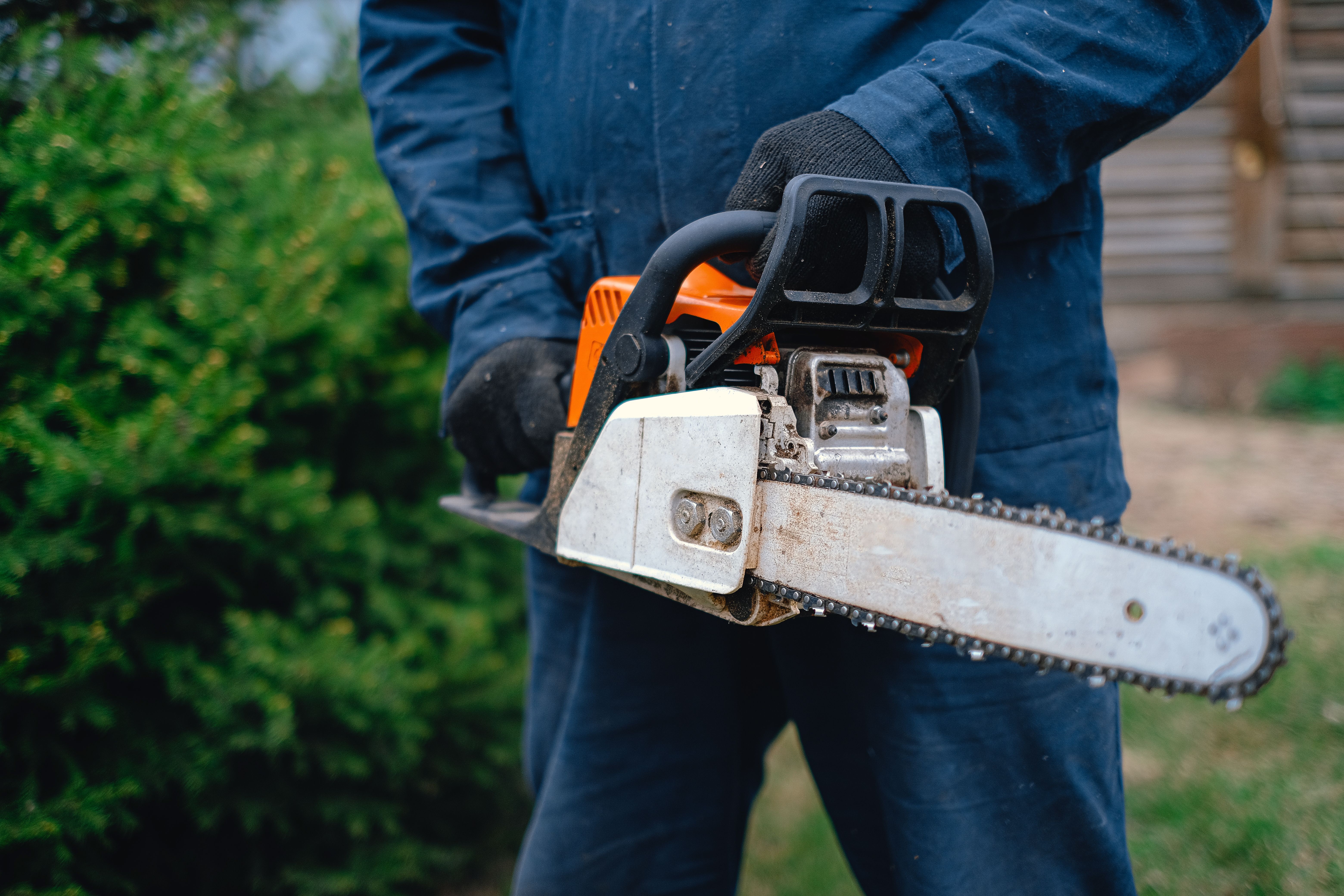Arborist Service