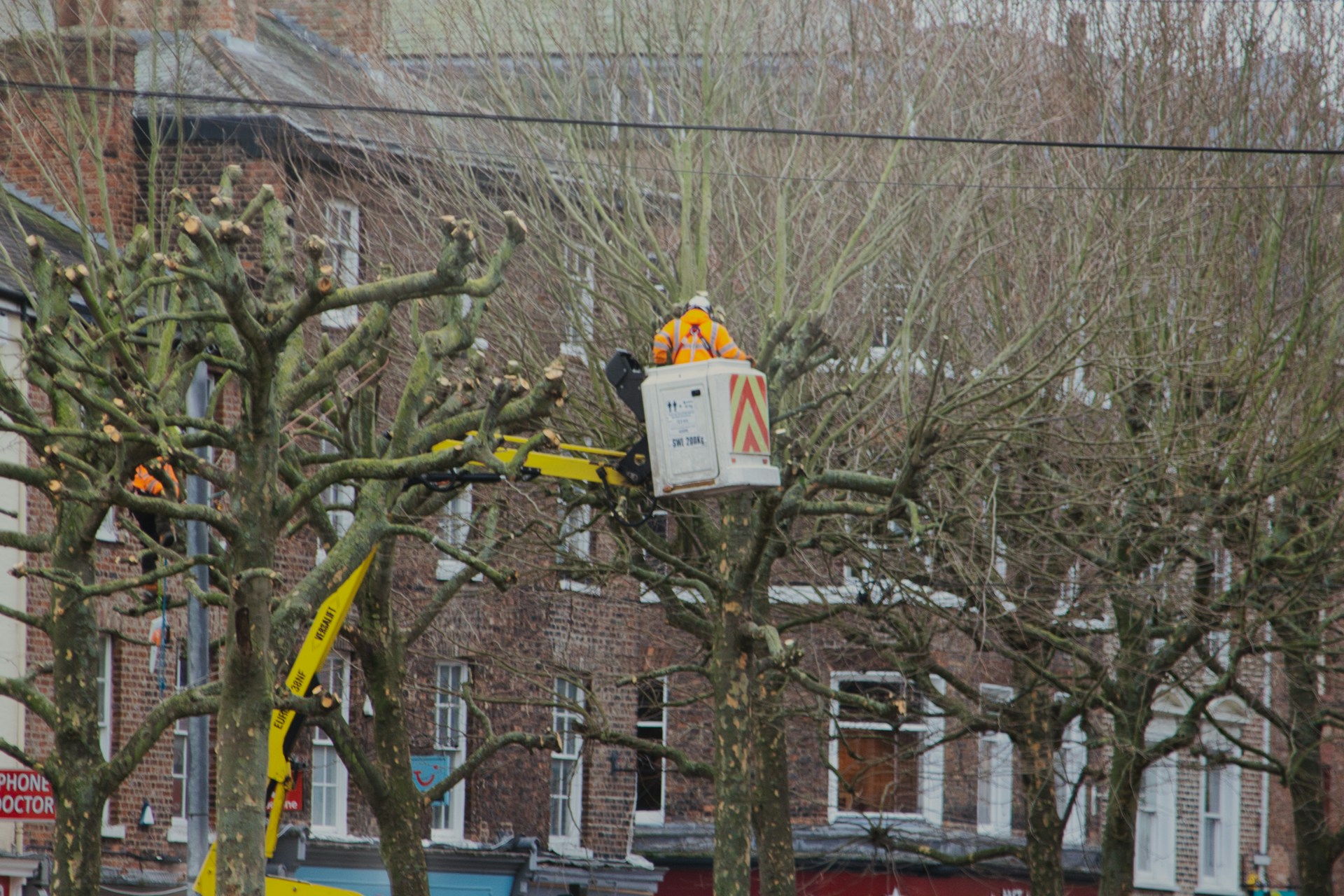 Tree Pruning