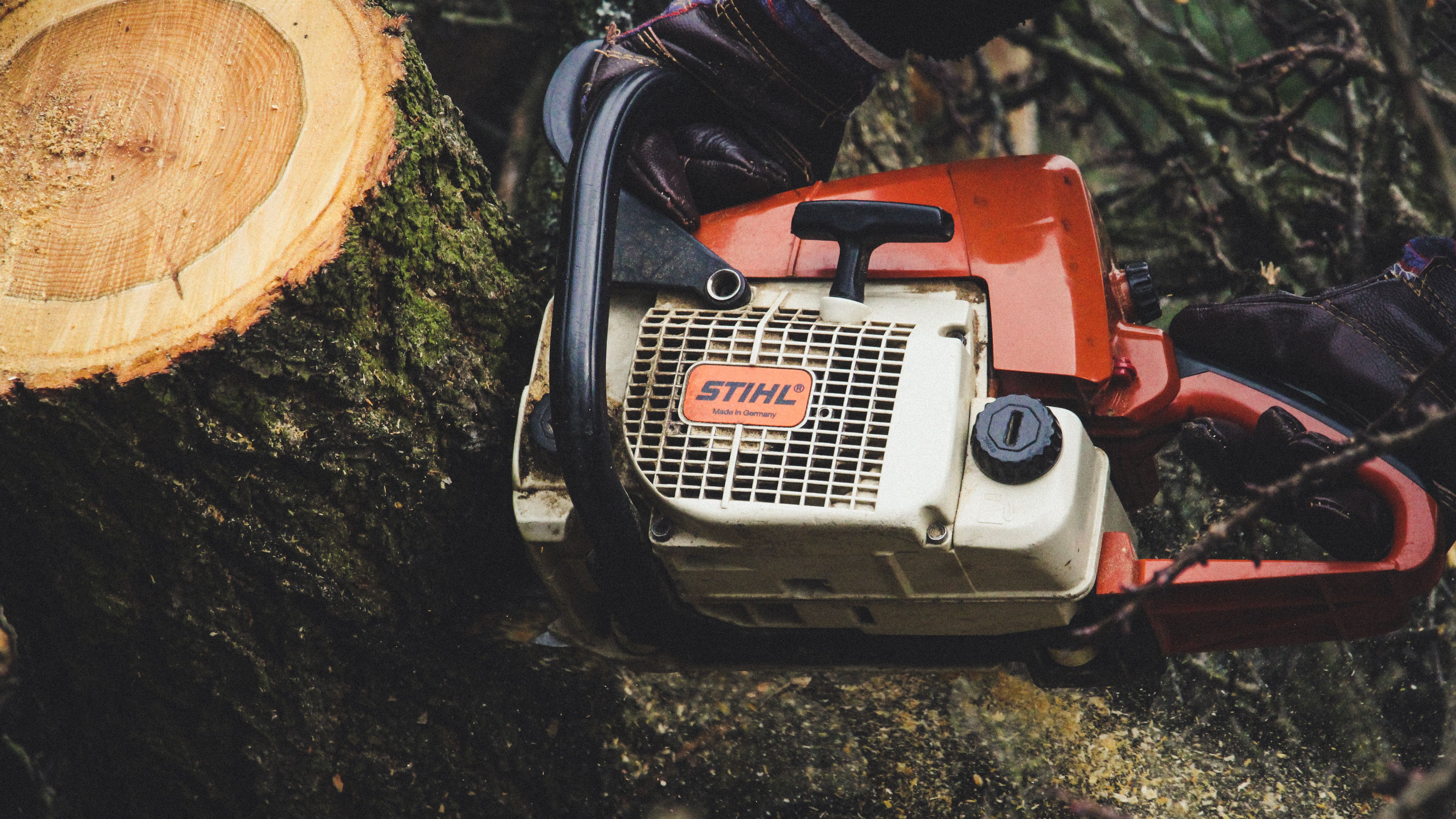 Tree Removal