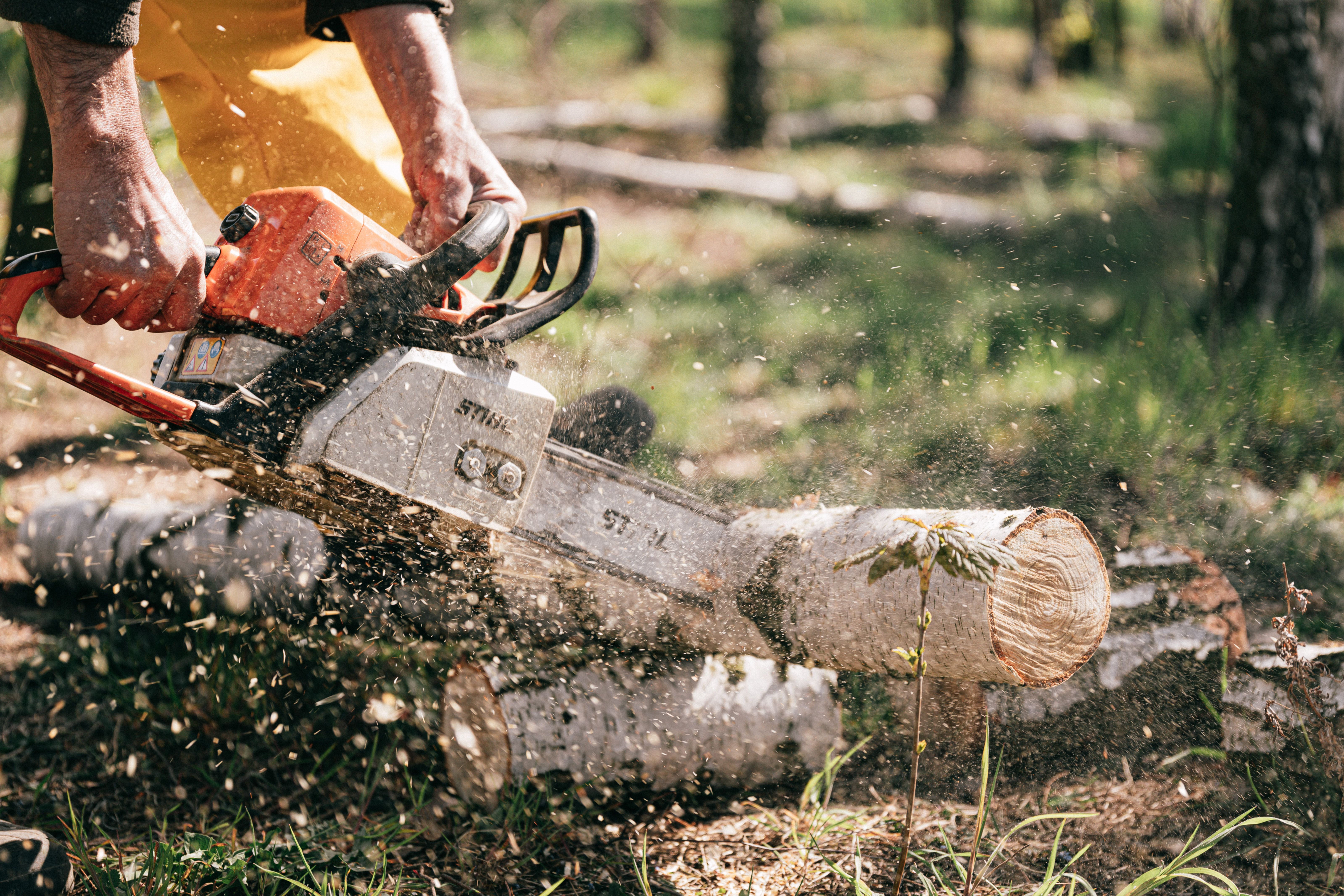 Tree Service Pittsburgh, PA